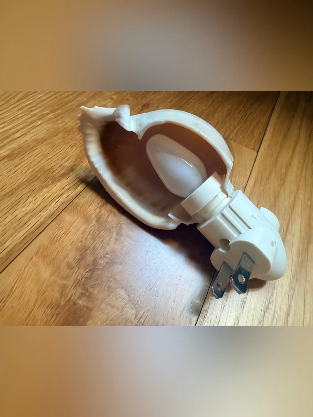 White Ceramic Sea Shell Night Light